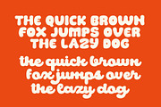 Picker, a Script Font by HRDR (Thumbnail 10 of 11)