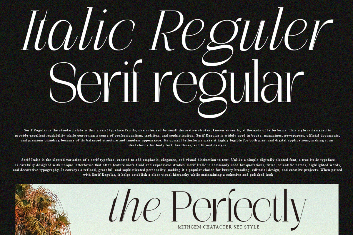 The Perfectly Migthem (11 Font), a Serif Font by IM Studio (Photo 3 of 9)
