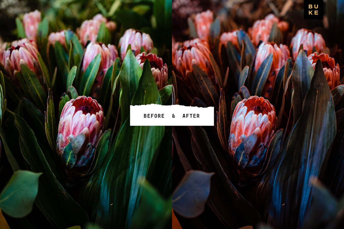 Deep Coral 4 Lightroom Preset Bundle, a Preset Add-On by SHOOM HOUSE (Photo 4 of 9)