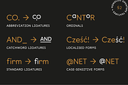 Monolog, a Sans Serif Font by Polytype (Thumbnail 14 of 15)