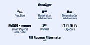 Rollman, a Sans Serif Font by Par Défaut (Thumbnail 7 of 9)