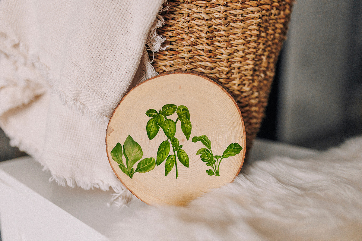 Watercolor everyday green herbs set, a Food Illustration by Fresh art by Larysa (Photo 5 of 7)