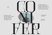 CS Diamond – Serif Font, a Serif Font by Craft Supply Co. (Thumbnail 4 of 8)