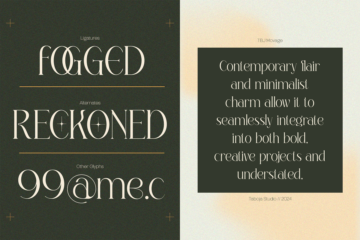 Elegant Condensed Volume 4, a Serif Font by Taboja Studio (Photo 22 of 22)