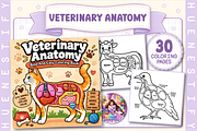 Veterinary Anatomy Coloring Book, an Education Illustration by HueNestify (Thumbnail 1 of 4)