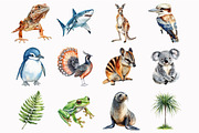 Watercolor Australian Animals Clipar, an Illustration by Design Market (Thumbnail 4 of 5)