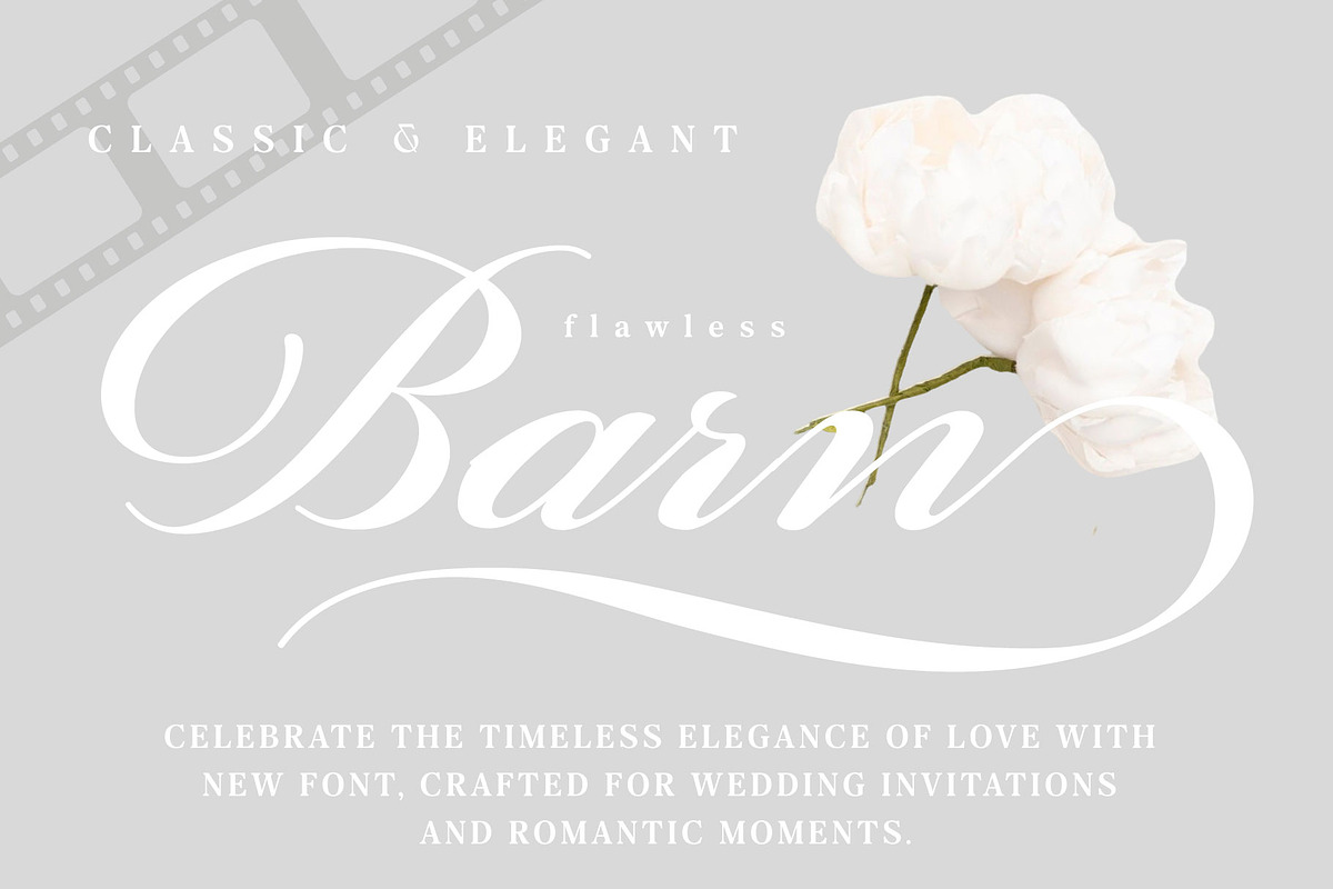 Film Storia, Calligraphy Font, a Script Font by Andfonts (Photo 5 of 8)
