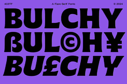 403 Bulchuy, a Sans Serif Font by 403 Type Foundry