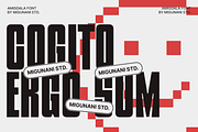 Amigdala Tall Display Font, a Font by Migunani Studio (Thumbnail 3 of 10)