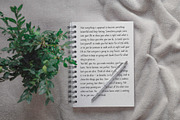Mandys - Formal Handwritten Typeface, a Handwritten Font by ManuelRosin (Thumbnail 6 of 13)