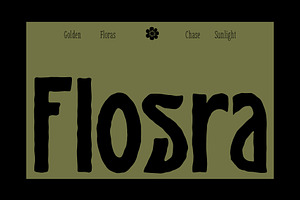 SAE Flosra - Folkcraft Display, a Slab Serif Font by Saera Type