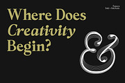 Panasea | 12 Fonts, a Serif Font by Skinny Type (Thumbnail 14 of 15)