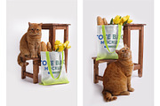 Canvas Tote Bag Mockups Vol 2, a Product Mockup by Hi, Mock-Up! (Thumbnail 4 of 9)