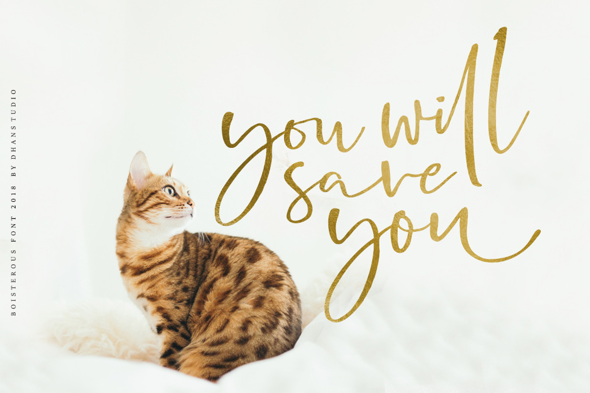 Boisterous Signature, a Script Font by Dhan Studio (Photo 16 of 24)
