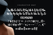 Bellanovie – Modern Brush Script, a Script Font by NURF Designs (Thumbnail 3 of 10)