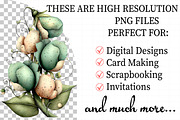 Spring Sweet Peas Flower Clipart, an Illustration by Daily.Designs (Thumbnail 2 of 8)