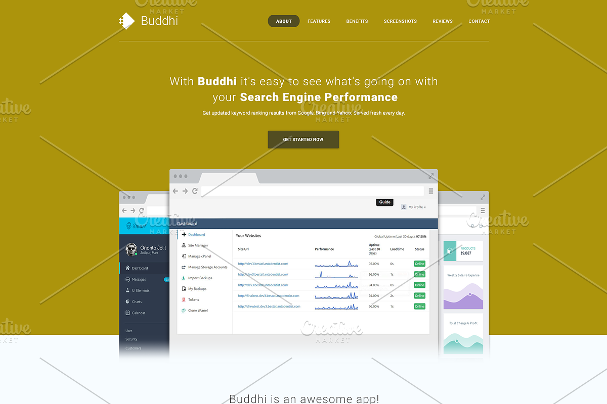 Buddhi - SaaS Landing Page PSD, an App Template by Pentaclay (Photo 5 of 8)