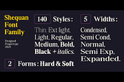 Shequan, a Serif Font by Propertype (Thumbnail 12 of 15)