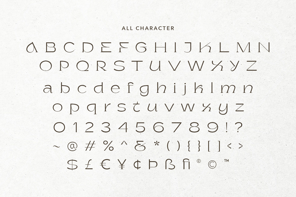 Yorkane - Stylish Half Serif, a Serif Font by Sarid Ezra (Photo 10 of 11)