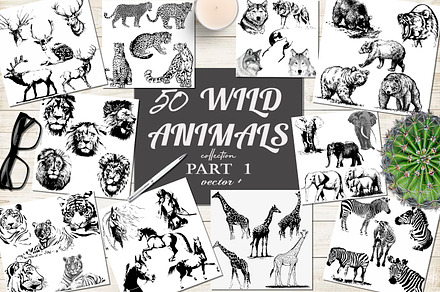 50 wild animals silhouette vector