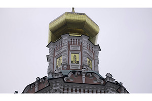 Golden cupola of the novodevichy, an Architecture Photo by Media Whale Stock