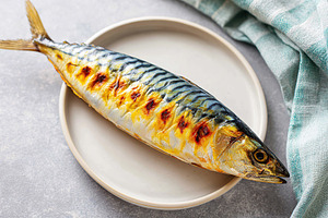 Grilled mackerel on a plate, a Food & Drink Photo by AlyaAnd