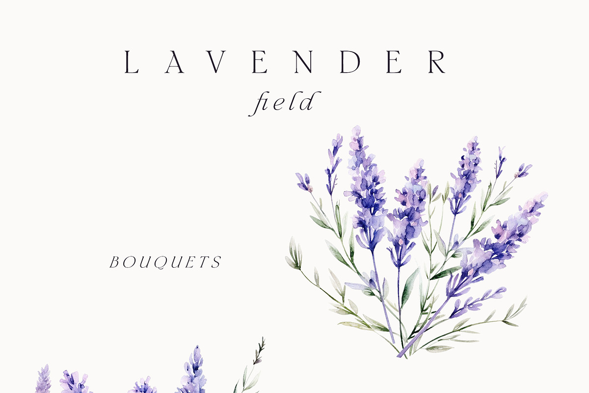 Watercolor Floral Bundle (45 in 1), a Decorative Illustration by Lana Elanor (Photo 145 of 180)