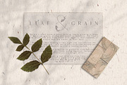 Marigold - Font duo and logo set, a Serif Font by Tropical Type (Thumbnail 7 of 11)