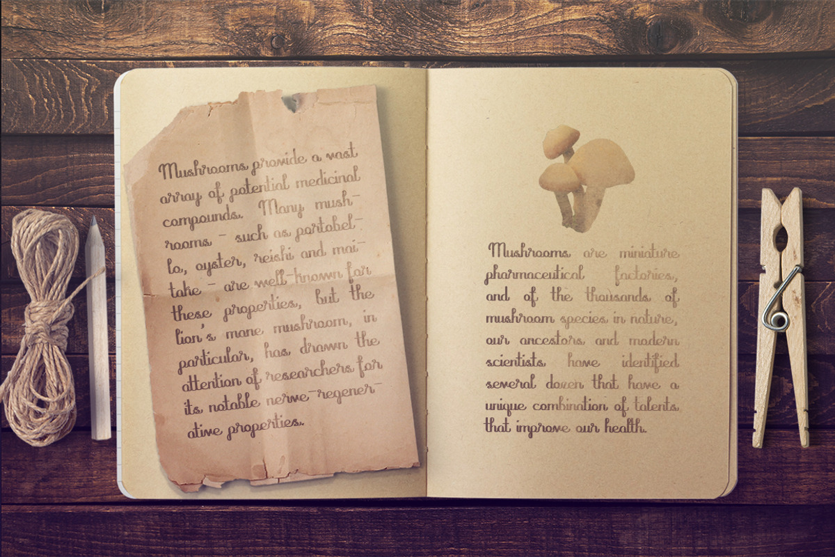 Mushroom font preview 4