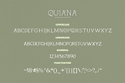 Quiana Serif, a Serif Font by Alphaleonis_std (Thumbnail 9 of 9)