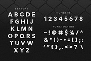 Iron Guard, a Font by zerologicstudio (Thumbnail 7 of 8)