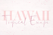 Shallou Signature Script Typeface, a Script Font by Drifter Studio (Thumbnail 9 of 9)