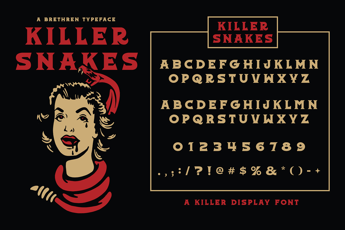 Killer Snakes Display Font, a Font by Brethrendesignco (Photo 1 of 3)