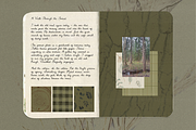 Forest floor nature backgrounds, a Background Graphic by viktoriiavk (Thumbnail 5 of 8)