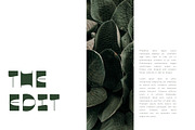 Sparrow - modern sans serif, a Sans Serif Font by Sk designs (Thumbnail 4 of 9)