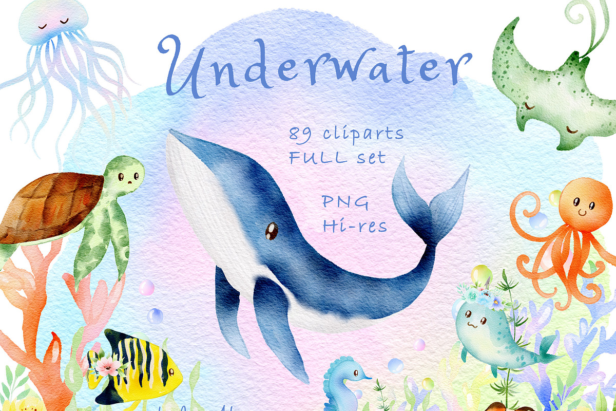 UNDERWATER SEA CLIPART, an Animal Illustration by heyiamalice (Photo 1 of 13)