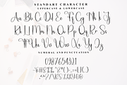 Christmas Amsterdam, a Handwritten Font by FreshTypeINK (Thumbnail 4 of 8)