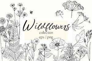 Wildflowers and herbs line sketch, a Decorative Illustration by irina.vaneeva