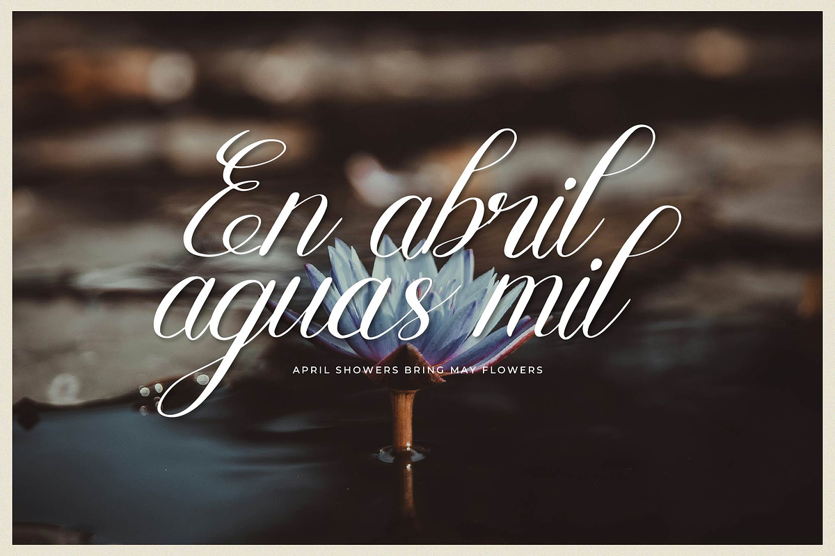 Mewskia | Modern Calligraphy Font, a Script Font by gracetype_studio (Photo 6 of 14)