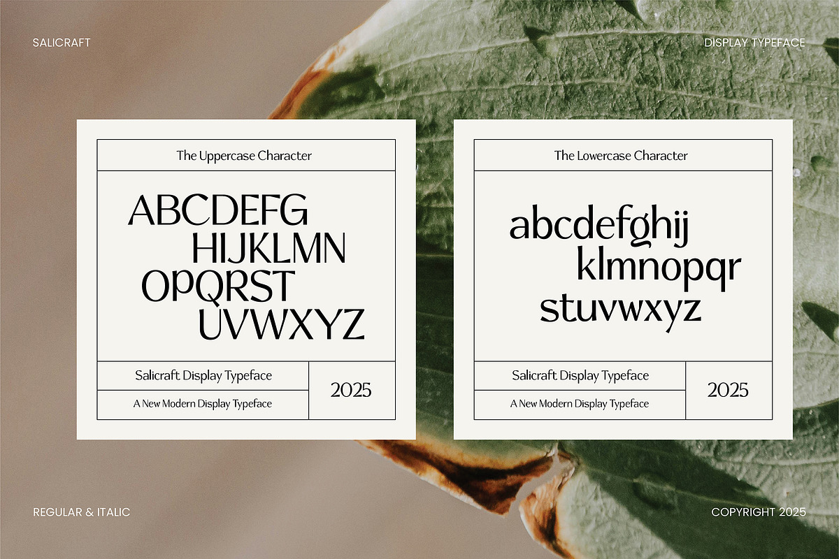 Salicraft, a Serif Font by Gatype (Photo 3 of 10)