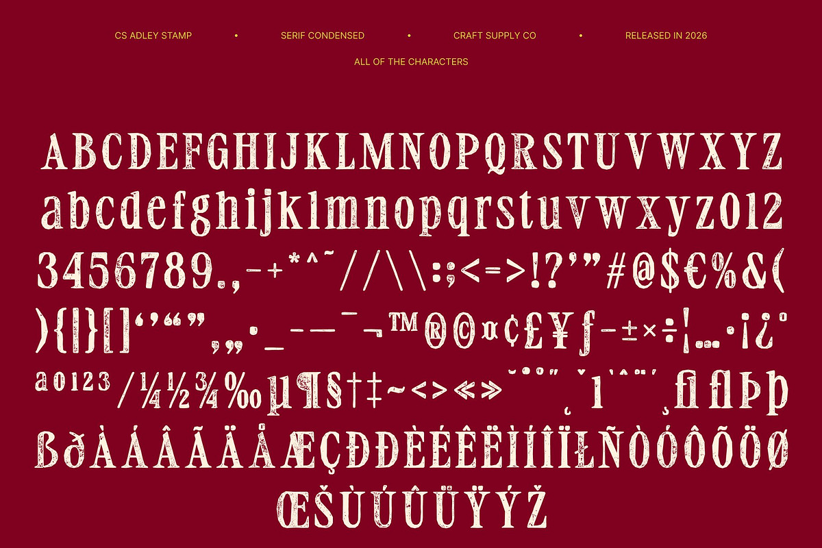 CS Adley Stamp, a Serif Font by Craft Supply Co. (Photo 8 of 8)