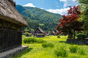 Traditional rice fields and gassho houses in Shirakawa-go villag, an Architecture Photo by GoodGoods