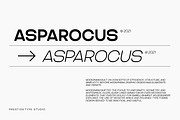 Asparocus Modern Font Duo, a Sans Serif Font by Prestigetype (Thumbnail 4 of 10)