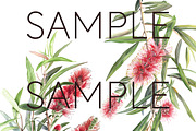 Bottle Brush Floral Clipart PNG, a Decorative Illustration by Pawcasso's Portraits (Thumbnail 3 of 6)