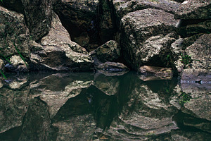 Simpsons Falls in Brisbane, a Nature Photo by Rob D Animal Photography