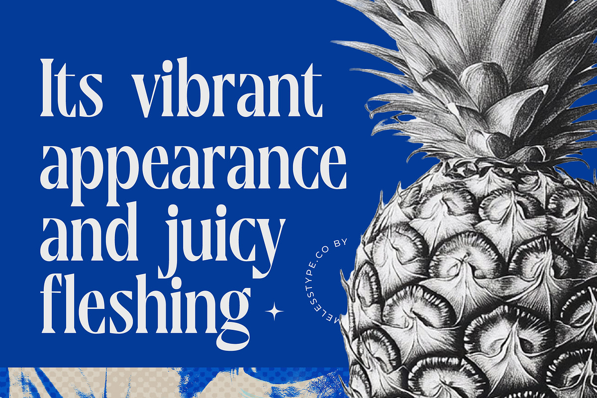 Moonni Zehher Bold Tall Serif, a Serif Font by timelesstype.co (Photo 4 of 20)