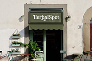 Hasbor Modern Alternate Serif Font, a Serif Font by AmorfaType (Thumbnail 8 of 11)