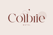 Gotrie - Modern Serif Font, a Serif Font by Aqeel_Art (Thumbnail 2 of 12)