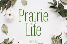 Prairie Life – Cute font