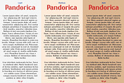 Pandorica-Sans serif font family, a Sans Serif Font by Artistic & Unique (Thumbnail 11 of 11)